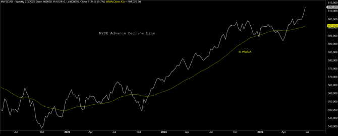 3 - ADLINENYSE_Get Bulled Up!